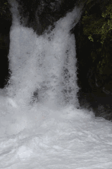 mury rotorua rafting water falls