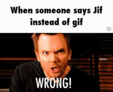 Gif Jif GIF - Gif Jif Wrong GIFs