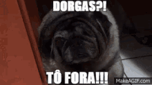 Pug Dorgas GIF - Pug Dorgas Dog GIFs