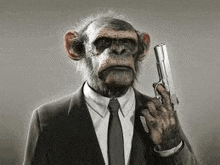 Meme The Monkey Gang GIF - Meme The Monkey Gang GIFs