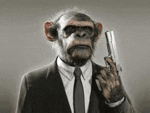 Meme The Monkey Gang GIF