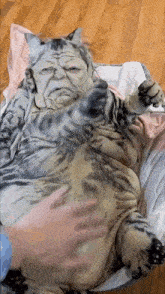 a cat with a face painted on it laying on a blanket