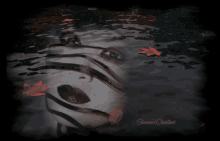 Face In Darkness Face The Darkness GIF - Face In Darkness Face The Darkness GIFs