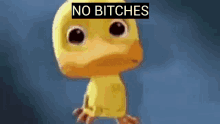 No Bitches Crying Duck Meme GIF