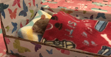 Sleeping Rat GIF - Sleeping Rat Mouse GIFs