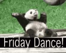Friday Happy GIF - Friday Happy Friday Dance GIFs