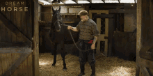 pet horse brian dream horse man with horse horse in stable