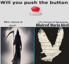 a picture of a grim reaper next to a picture of a bird and a red button that says will you push the button