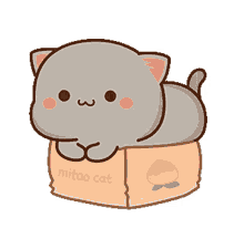 mochi mochi peach cat cat kitty cute box