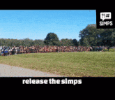 Simpbase Releasethesimp GIF - Simpbase Releasethesimp GIFs