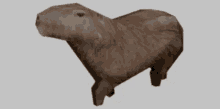 Capybara Lowpoly GIF - Capybara Lowpoly GIFs