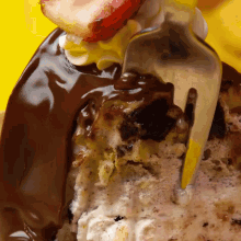 a close up of a piece of cake with chocolate sauce and whipped cream