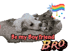 a picture of a dog and a cat with the words " be my boyfriend bro "