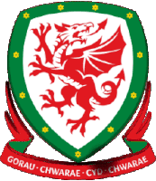 Wales Win Sticker - Wales Win Football Stickers