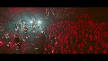 a group of people are playing instruments in front of a large crowd