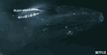 Whale Breathe Out GIF