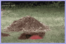 a pile of dirt is sitting on top of a grass covered field .