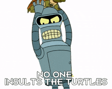 no one insults the turtles bender futurama protect the turtles i love turtles