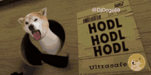 Hodl Doge GIF - Hodl Doge Djdoge GIFs