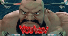 You Win GIF - You Win Street Fighter GIFs