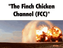 Fcc Finch Chicken Channel GIF - Fcc Finch Chicken Channel Finch GIFs