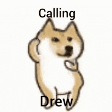 Cantydrew Andrew GIF