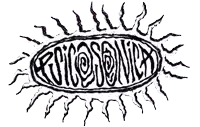 a black and white drawing of a sun with the words euiosonics written inside of it