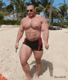 GIF