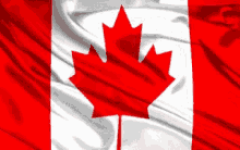 Canada Flag GIF