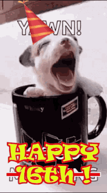 Good Morning Dog GIF - Good Morning Dog Happy Birthday GIFs