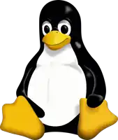 a black and white penguin with a yellow beak is smiling