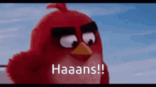 Red Bird Hans GIF - Red Bird Hans GIFs