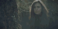 Forest Woods GIF - Forest Woods Lost GIFs
