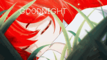 a girl with red hair is laying in the grass and the words goodnight are visible