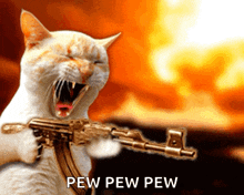 Ot Movie Cat GIF - Ot Movie Cat Gun GIFs