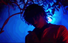 a man with dreadlocks is standing under a tree in a dark room with a blue light behind him .