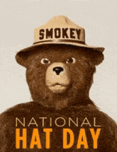 Nationalhatday Smokey GIF - Nationalhatday Smokey Onlyyoucanpreventwildfires GIFs