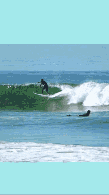 Surf Sea GIF - Surf Sea GIFs