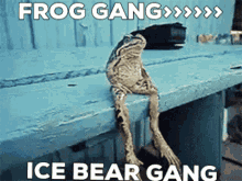 Frog Gang GIF - Frog Gang GIFs
