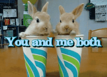 You And Me Both Funny Bunny GIF