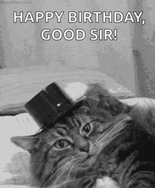a black and white photo of a cat wearing a top hat and saying happy birthday , good sir .
