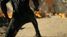 Ready To Fight Black Panther GIF - Ready To Fight Black Panther Wakanda Forever GIFs
