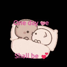 two teddy bears laying in bed with the words one day we shall be written on the bottom