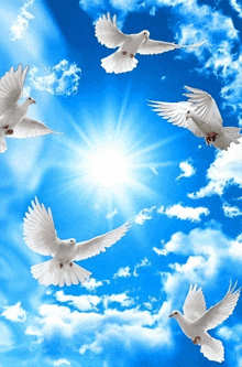 a group of white birds flying in a blue sky with the sun shining through the clouds