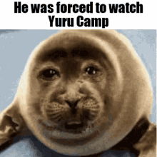 Yuru Camp GIF - Yuru Camp GIFs