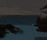 two otters are playing in a pool and one is drinking water