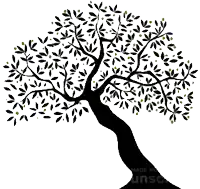 a silhouette of an olive tree with lots of leaves