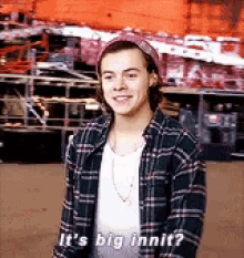 Harry Styles One Direction GIF - Harry Styles One Direction Big GIFs