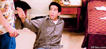Friends Television GIF