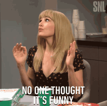 No One Thought Its Funny Saturday Night Live GIF - No One Thought Its Funny Saturday Night Live We Didnt Laugh GIFs